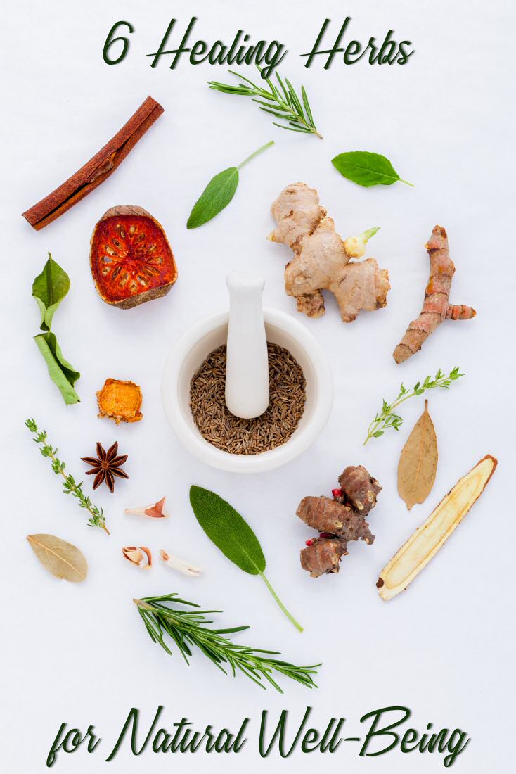 6 Healing Herbs for Natural Well-Being