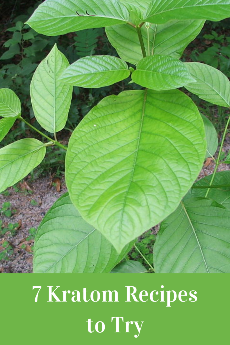 kratom recipes