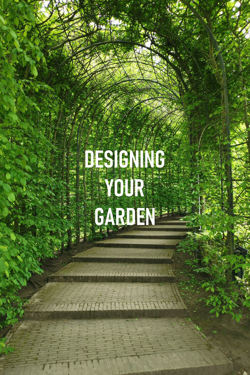 Designing Your Garden