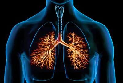 Lung Disease Respiratory Health Center -- WebMD