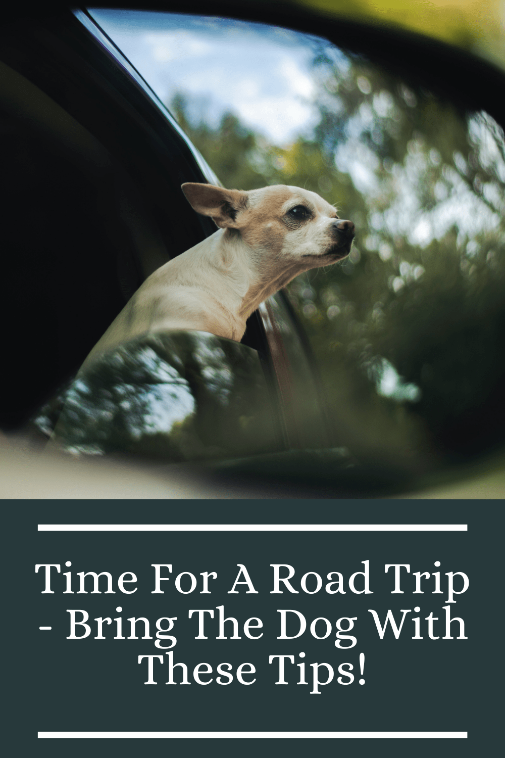 Time For A Road Trip - Bring The Dog With These Tips!