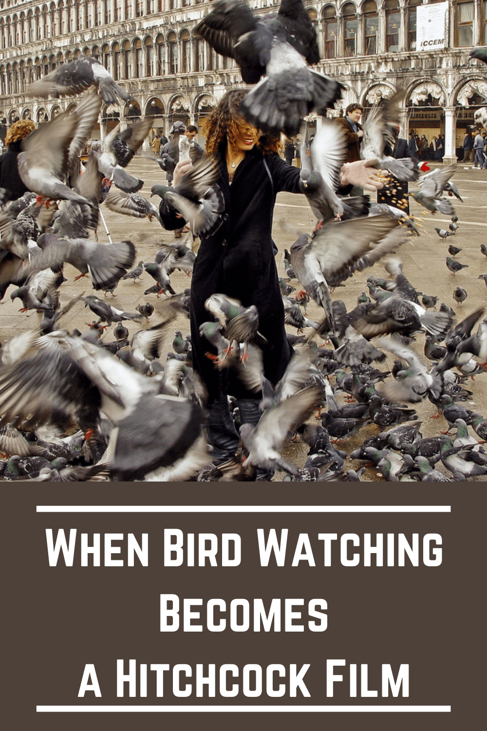 When Bird Watching Becomes a Hitchcock Film