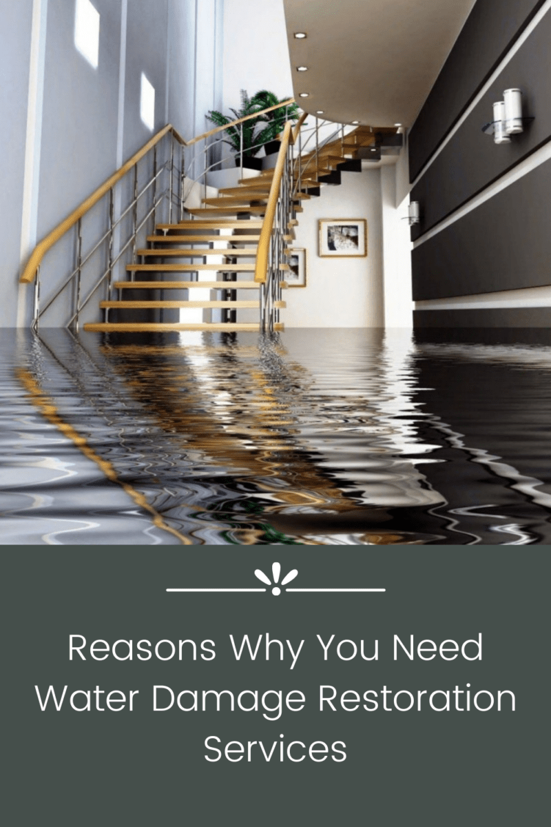 reasons why you need water damage restoration services