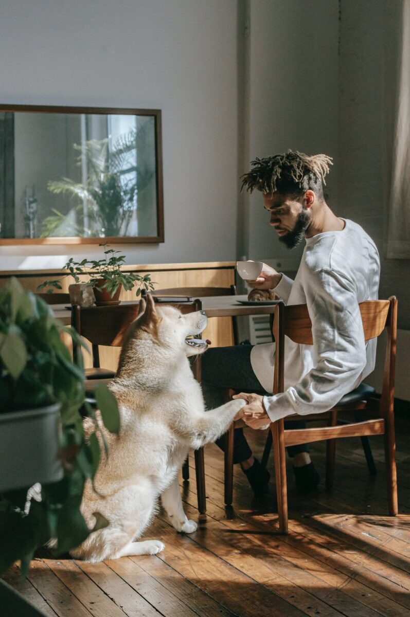 dog and man