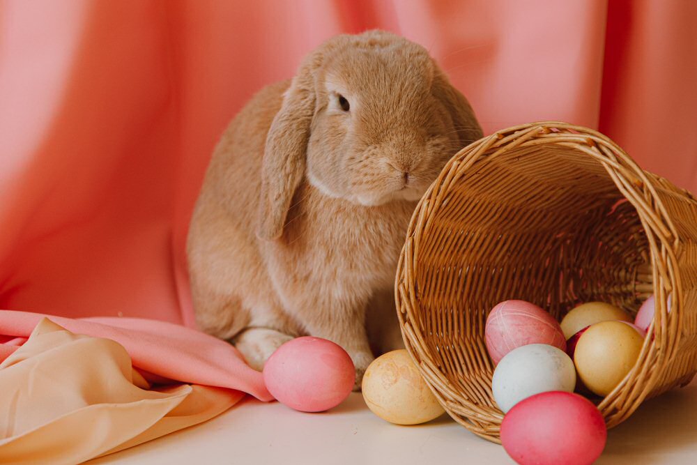 easter baskets