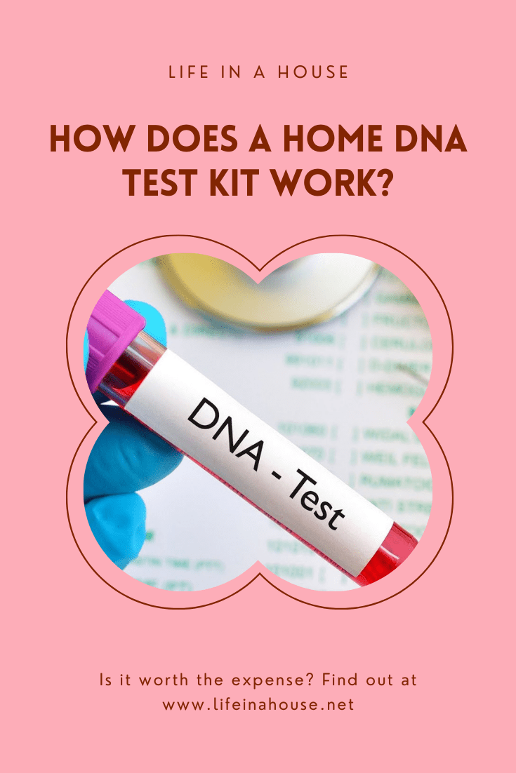 home dna test kit