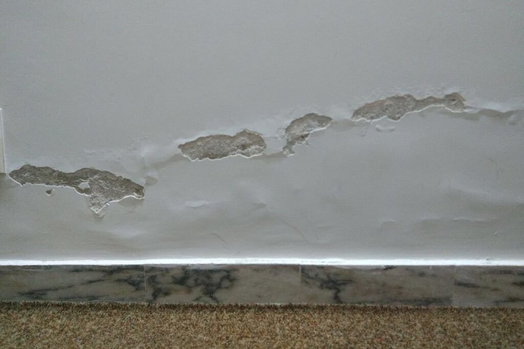 How To Get Rid Of Damp In House