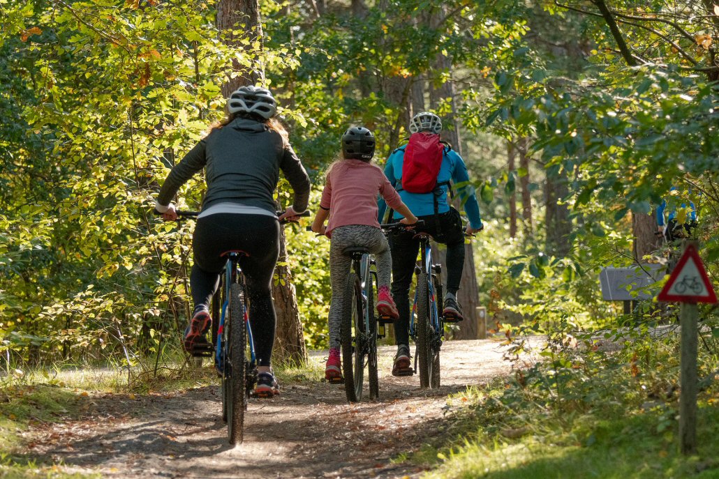 bicycles outdoors