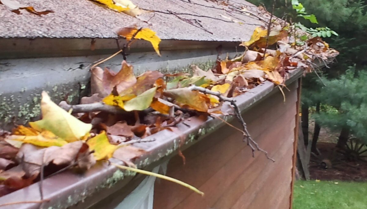 clogged gutters