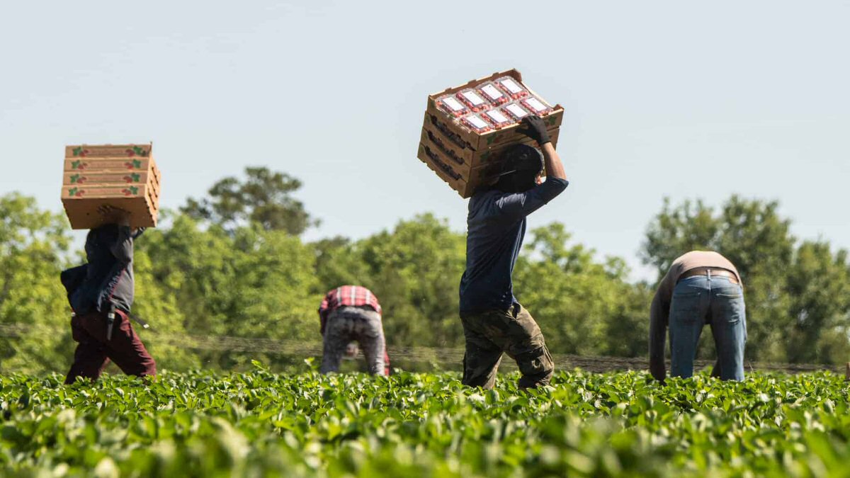 Hiring Overseas Farmhands: How to Find the Right Employees