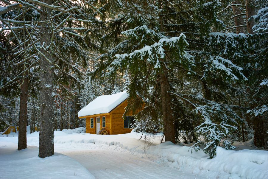 pine trees, brown house, snow