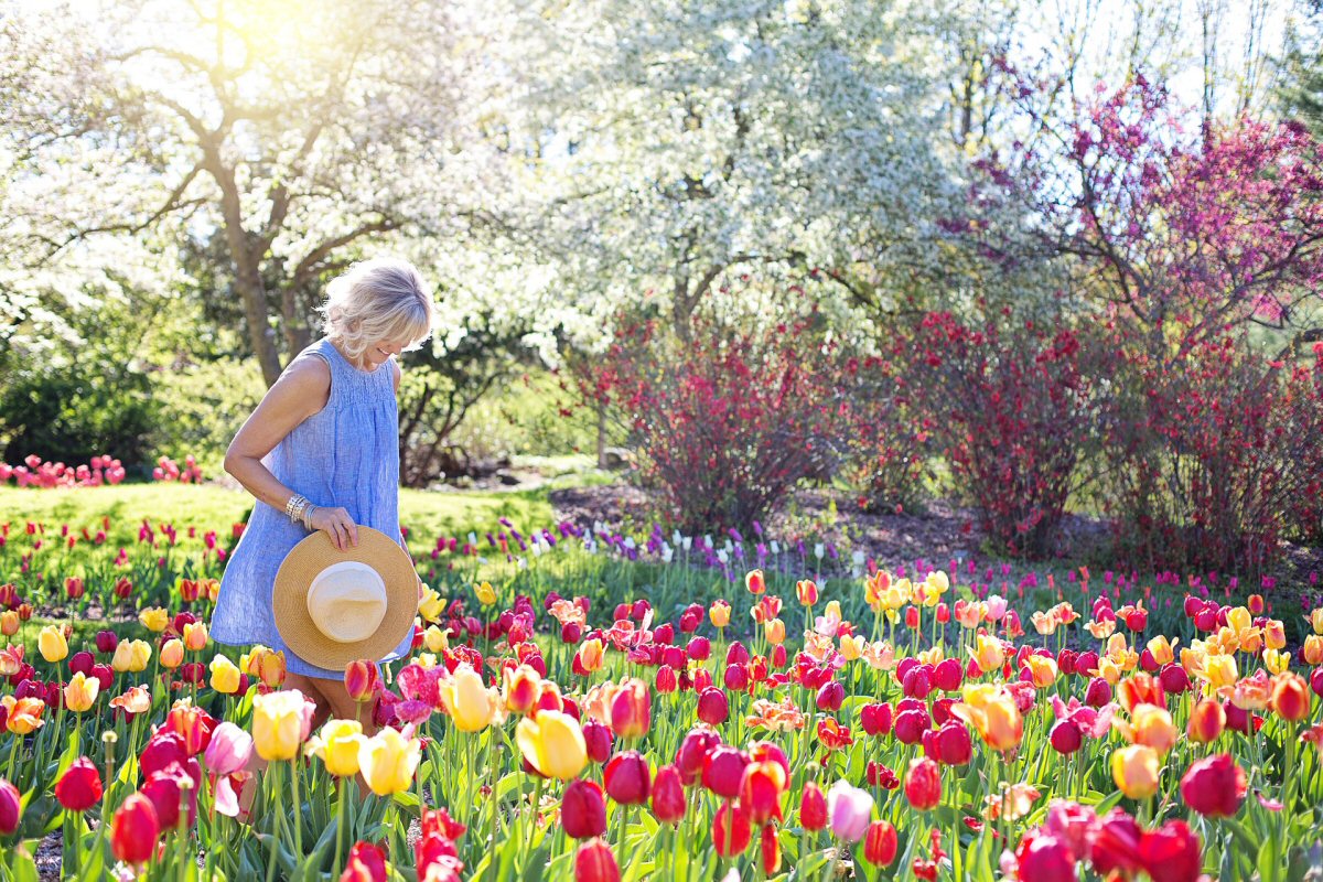 Planning Your Springtime Garden