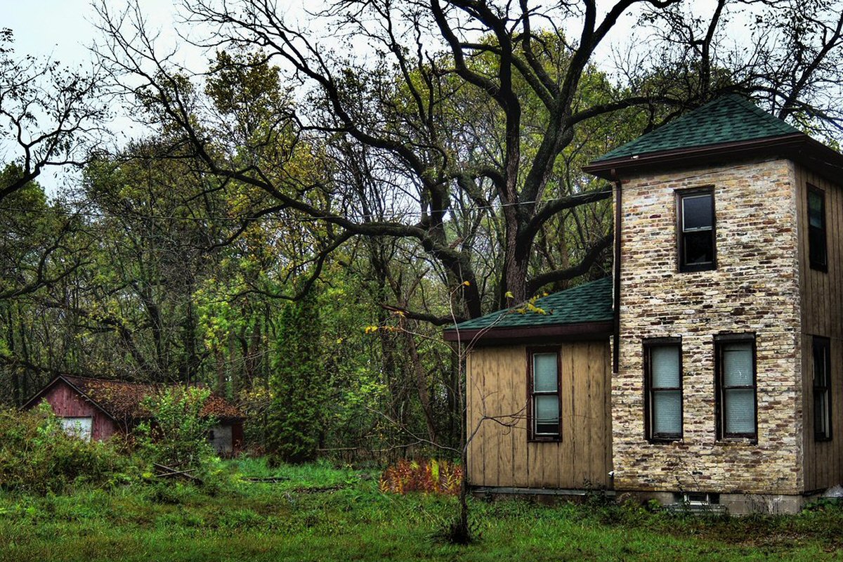 dead tree overhanging home