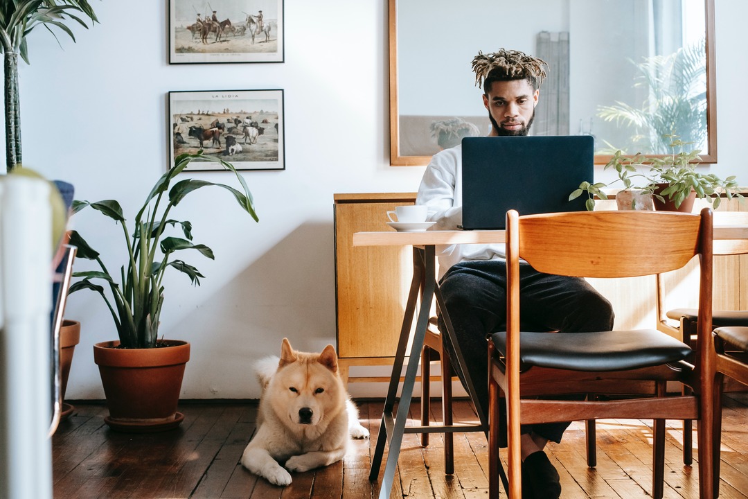 What to Think About When Setting Up a Pet-Based Side Hustle