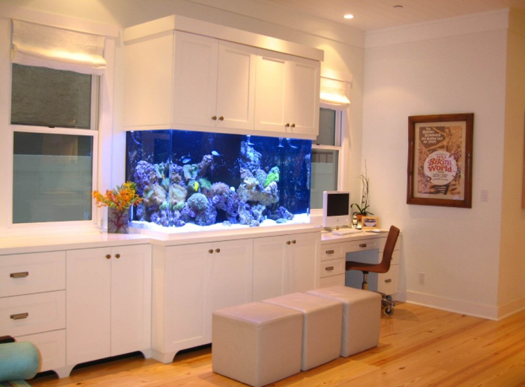 The Pros and Cons of Starting a Home Aquarium