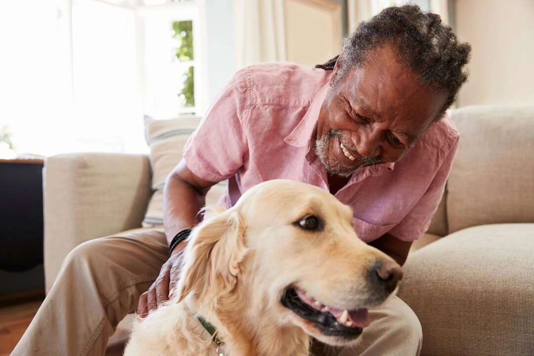 Emotional Support: The Impact of Companion Dogs