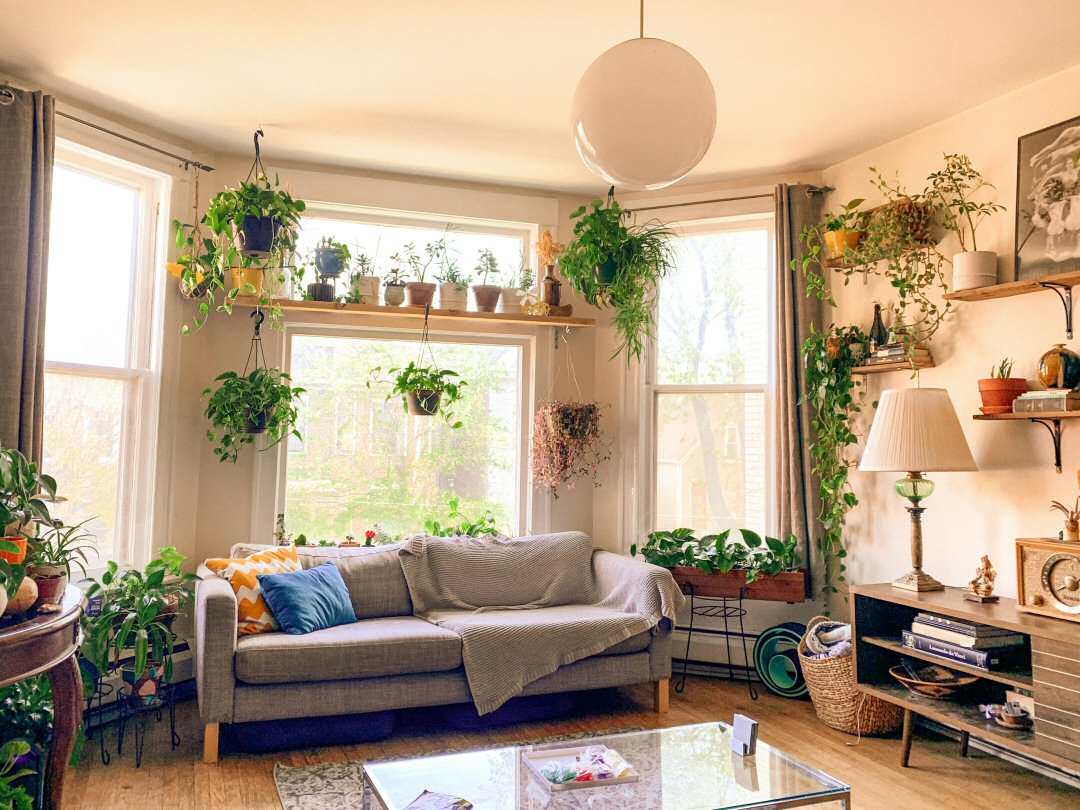 6 Tips To Make Your House More Eco-Friendly