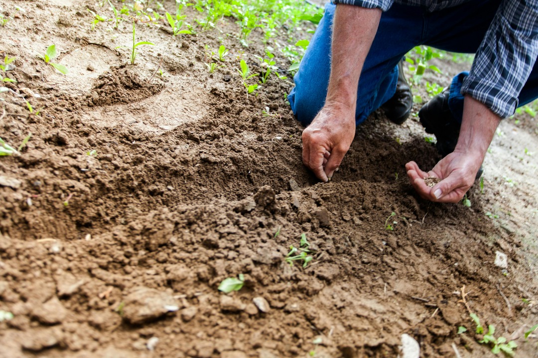 5 Things You Can Do in Your Garden Now To Be Ready for Summer